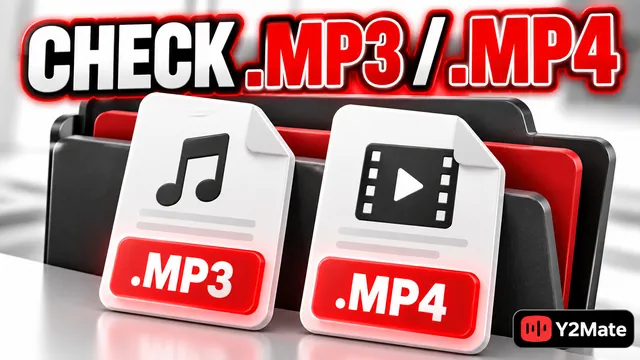 A Windows-style file panel highlighting complete MP3 and MP4 extensions